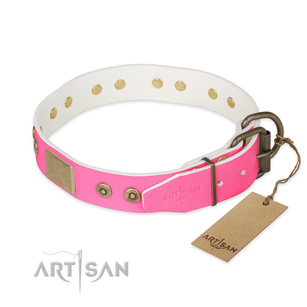 Rust-proof decorations on handy use dog collar