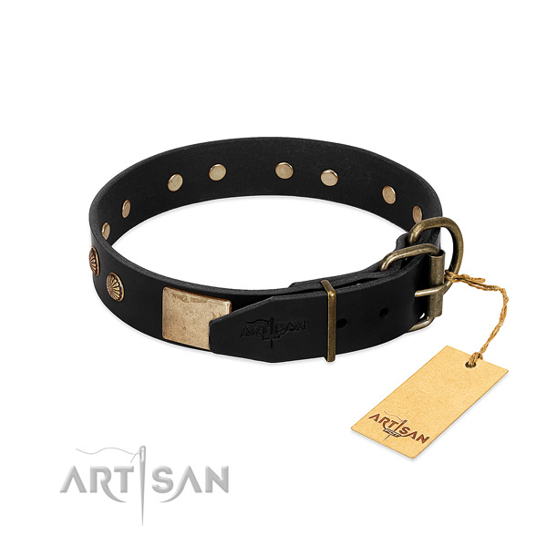 Rust-proof fittings on handy use dog collar