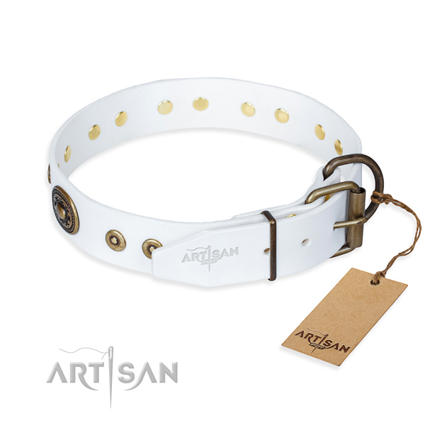 Full grain leather dog collar made of reliable material with reliable adornments