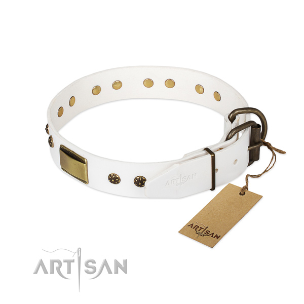 Genuine leather dog collar with strong traditional buckle and embellishments