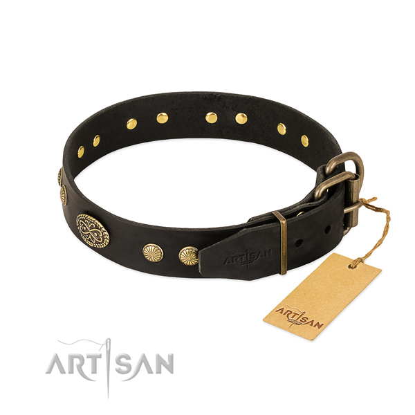 Corrosion resistant traditional buckle on full grain natural leather dog collar for your four-legged friend