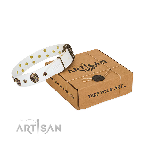 Remarkable leather collar for your attractive pet