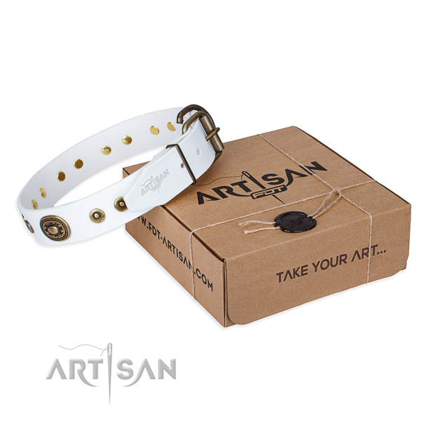 Full grain natural leather dog collar made of top rate material with corrosion proof traditional buckle