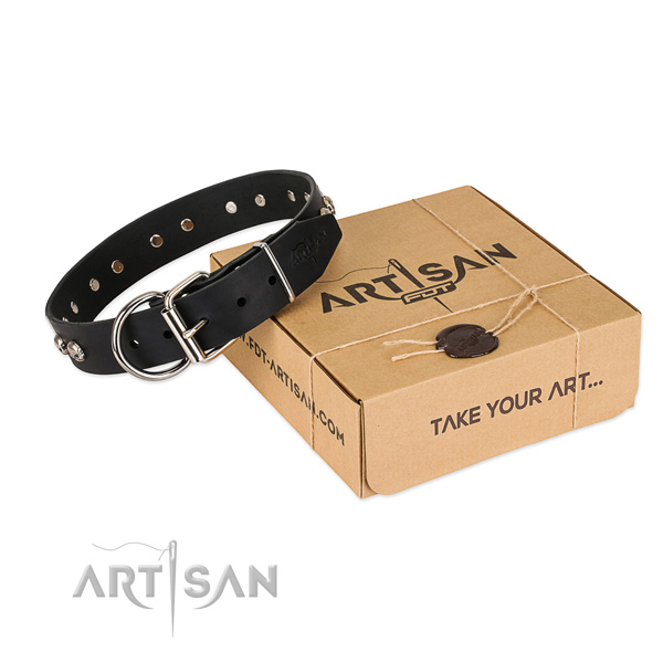 Rust resistant decorations on dog collar for comfy wearing