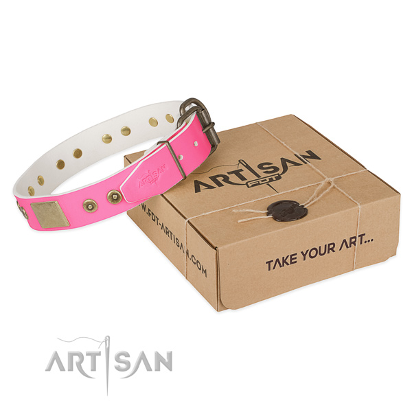 Rust resistant fittings on dog collar for stylish walking