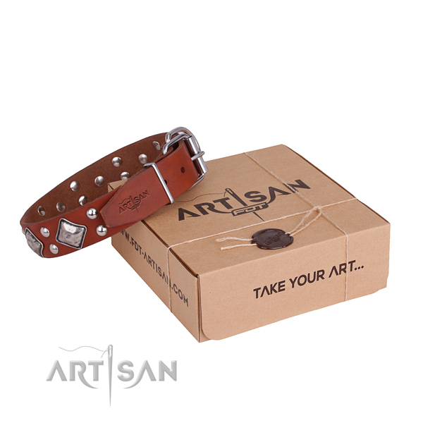 Handy use dog collar with Stylish design corrosion resistant embellishments