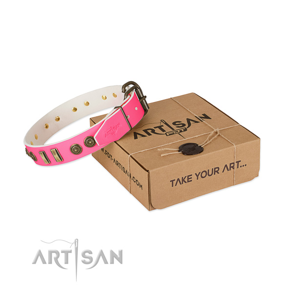 Reliable studs on leather dog collar for your four-legged friend