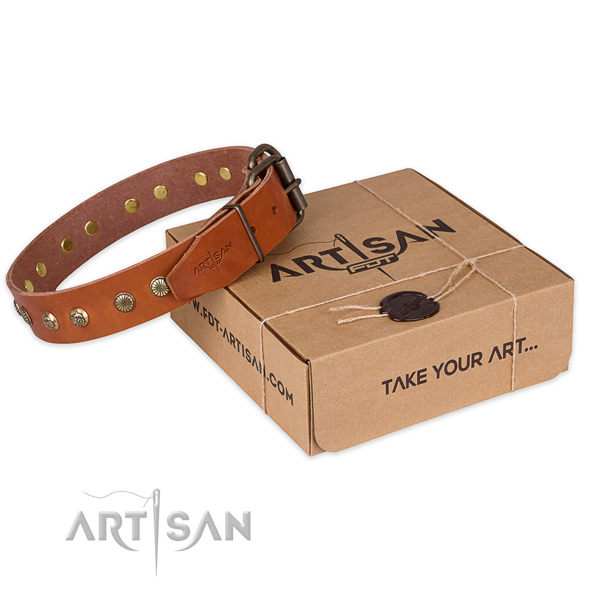 Strong traditional buckle on leather collar for your handsome doggie