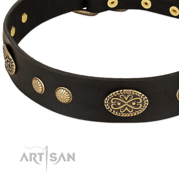 Corrosion resistant embellishments on natural leather dog collar for your pet