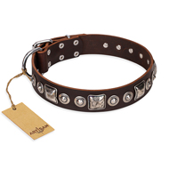 "Pierian spring" FDT Artisan Brown Leather Rottweiler Collar with Silvery Decorations
