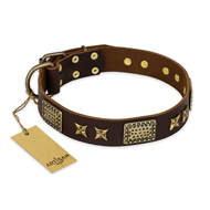 "Sparkling Bronze" FDT Artisan Genuine Leather Rottweiler Collar with Bronze Look Stars and Plates