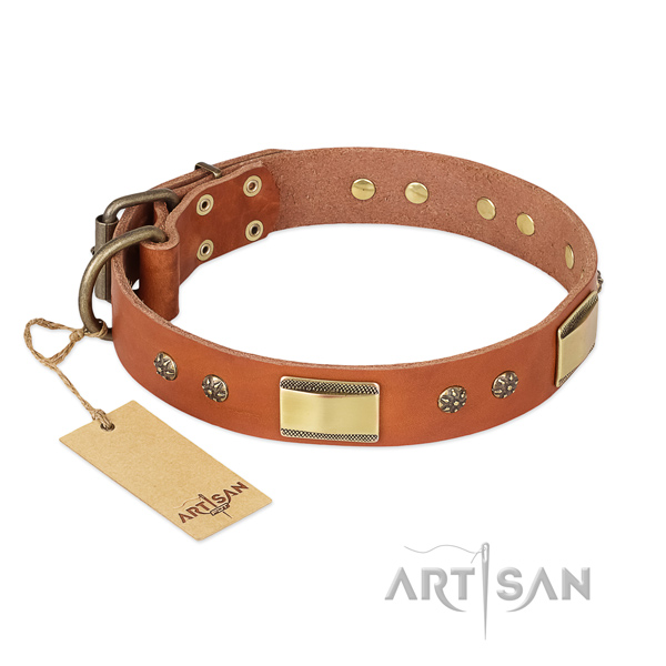 Fashionable natural genuine leather collar for your four-legged friend