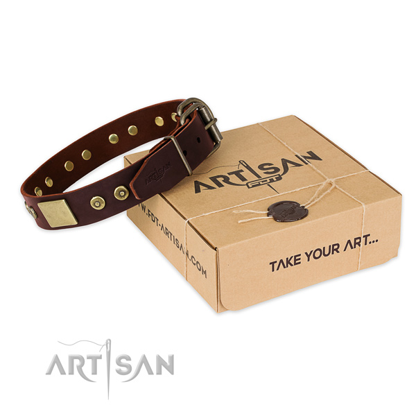 Corrosion proof hardware on dog collar for stylish walking