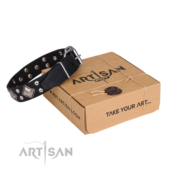 Fancy walking dog collar with Stunning rust-proof studs