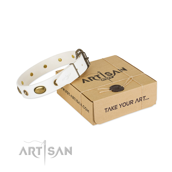 Embellished leather collar for your attractive doggie