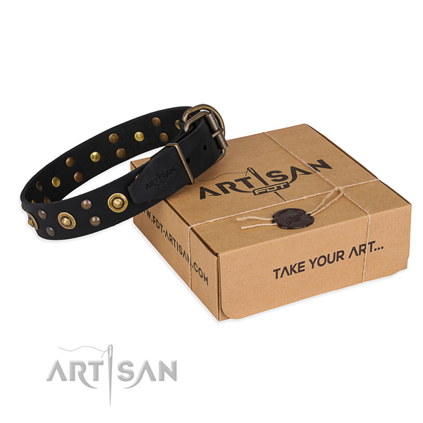 Strong traditional buckle on genuine leather collar for your handsome dog