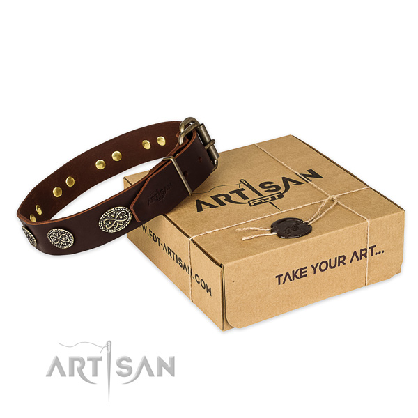 Durable fittings on full grain leather collar for your beautiful dog