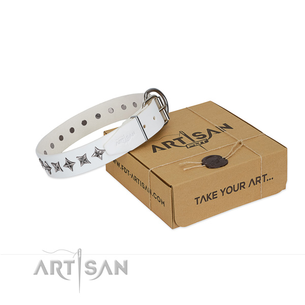 Finest quality full grain genuine leather dog collar with impressive adornments