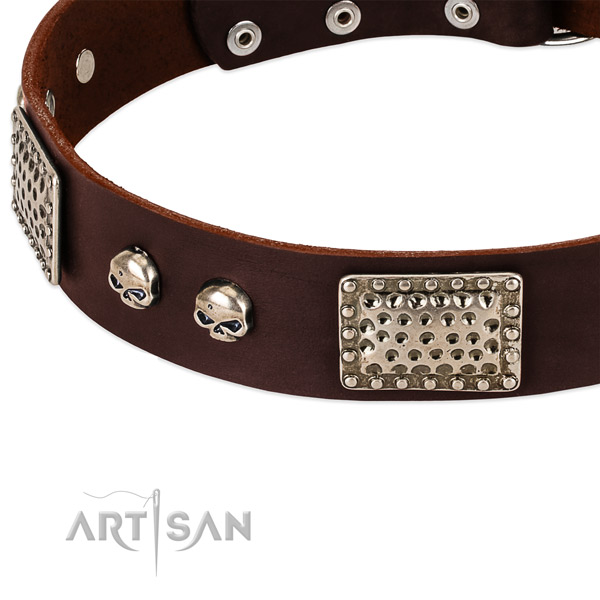 Reliable embellishments on genuine leather dog collar for your doggie