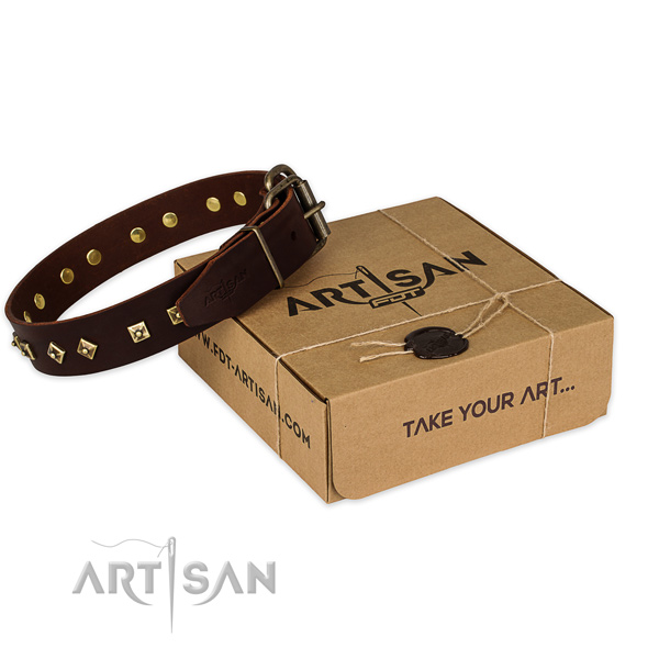 Corrosion proof traditional buckle on full grain natural leather dog collar for everyday walking