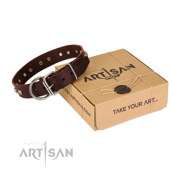 Strong studs on dog collar for walking