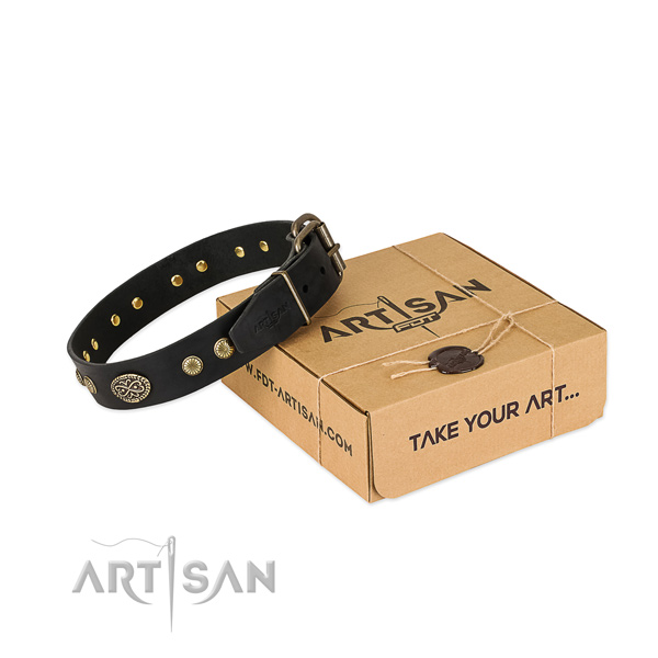 Rust resistant traditional buckle on full grain leather dog collar for your dog