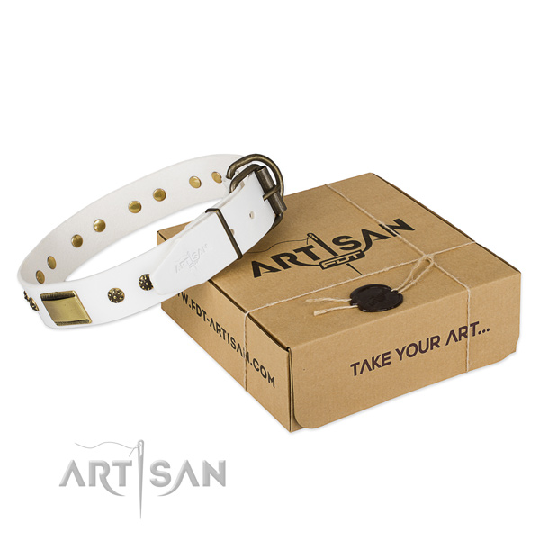 Amazing leather collar for your stylish doggie
