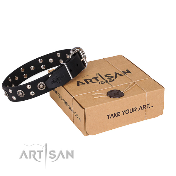 Handy use dog collar with Unusual reliable adornments