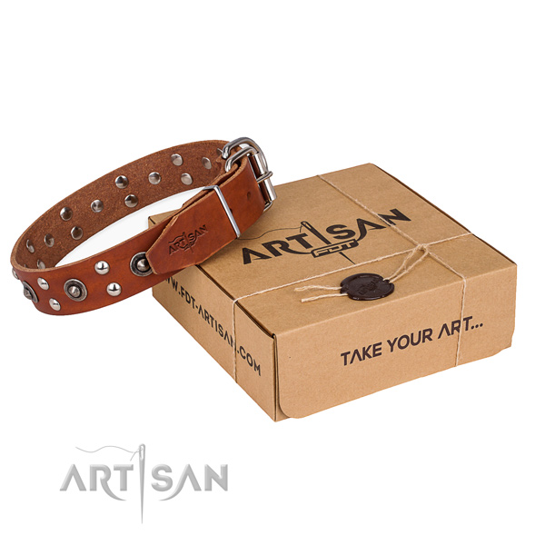 Strong D-ring on leather collar for your stylish canine