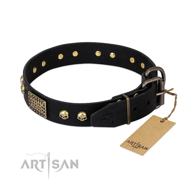 Reliable fittings on easy wearing dog collar