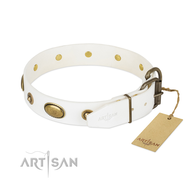Corrosion proof adornments on full grain natural leather dog collar for your four-legged friend