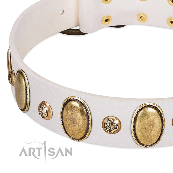 Leather dog collar with extraordinary decorations