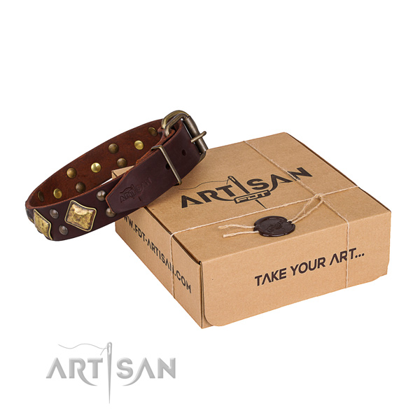 Comfy wearing dog collar with Fashionable durable studs