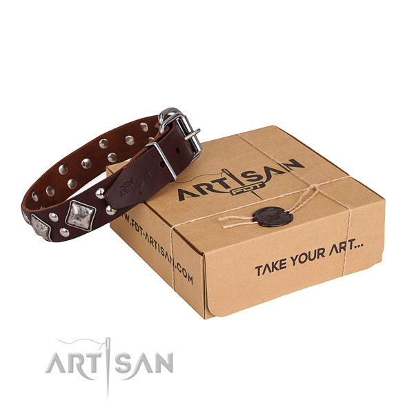 Comfy wearing dog collar with Exceptional strong studs