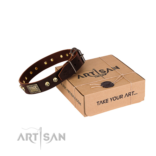 Corrosion resistant embellishments on dog collar for walking