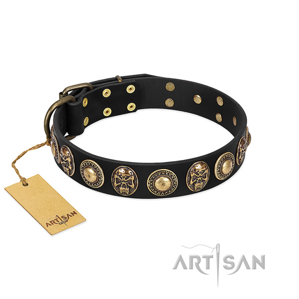 Easy adjustable full grain natural leather dog collar for everyday walking your doggie