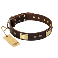 "Rich Fashion" FDT Artisan Decorated Leather Rottweiler Collar with Plates and Studs