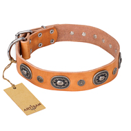 "Twinkle Twinkle" FDT Artisan Incredible Studded Tan Leather Rottweiler Collar