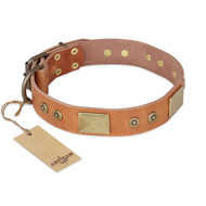 "The Middle Ages" FDT Artisan Handcrafted Tan Leather Rottweiler Collar
