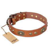 "Stunning Dress" FDT Artisan Tan Leather Rottweiler Collar with Old Bronze Look Plates and Studs