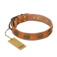 "Magic Amulet" FDT Artisan Tan Leather Rottweiler Collar with Oval Studs