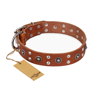 "Silver Elegance" FDT Artisan Decorated Leather Rottweiler Collar with Old Silver-Like Plated Studs and Cones