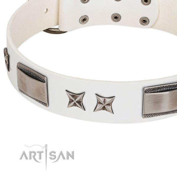 High quality leather dog collar with corrosion resistant buckle