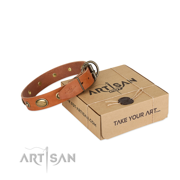 Corrosion proof buckle on genuine leather dog collar for your pet