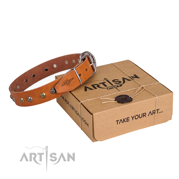Daily walking dog collar with Significant corrosion resistant decorations