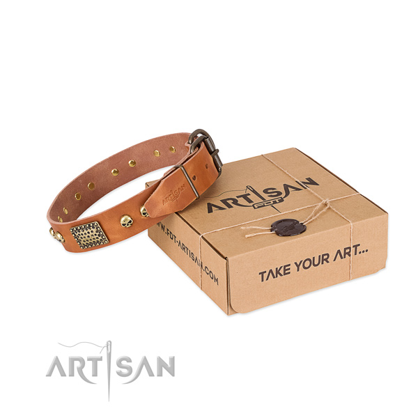 Durable D-ring on dog collar for everyday walking