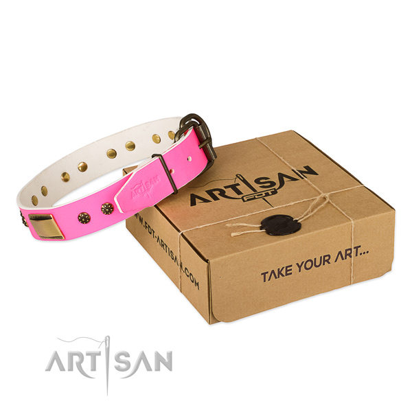Amazing leather collar for your handsome doggie