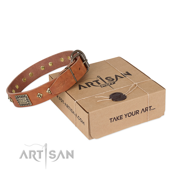 Top notch full grain genuine leather collar for your lovely canine