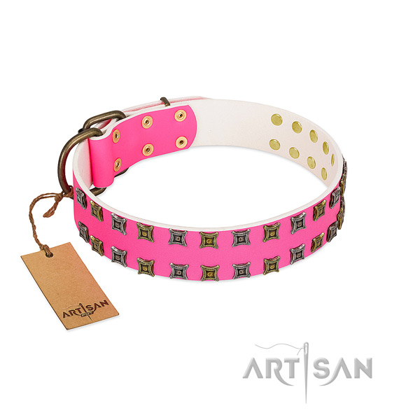 Leather collar with amazing adornments for your four-legged friend