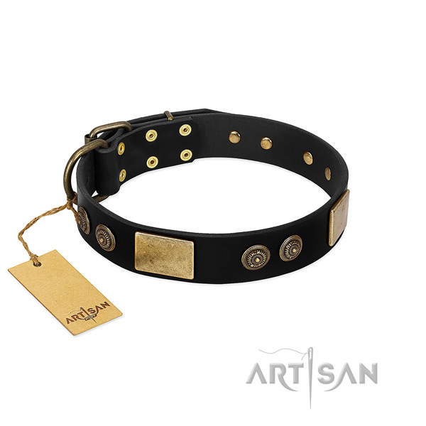 Corrosion resistant decorations on leather dog collar for your pet